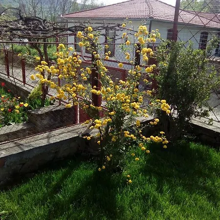 The Beautiful House Pensión Veliko Tárnovo