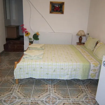 Guest house The Beautiful House 2*