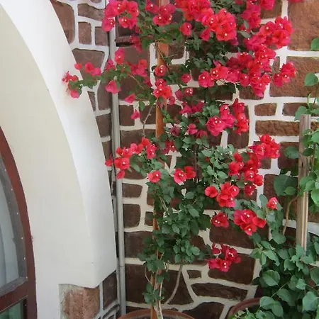 The Beautiful House Casa de hóspedes 2*