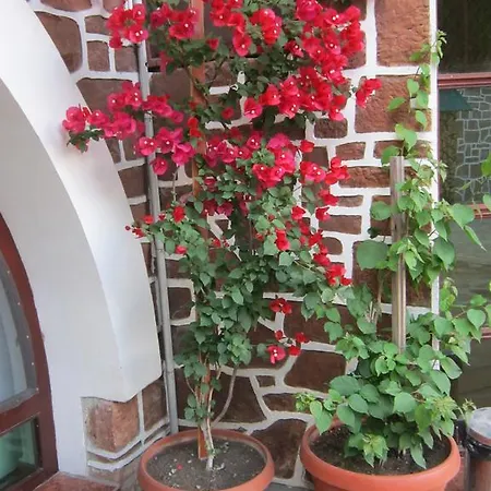 The Beautiful House Affittacamere Veliko Tărnovo