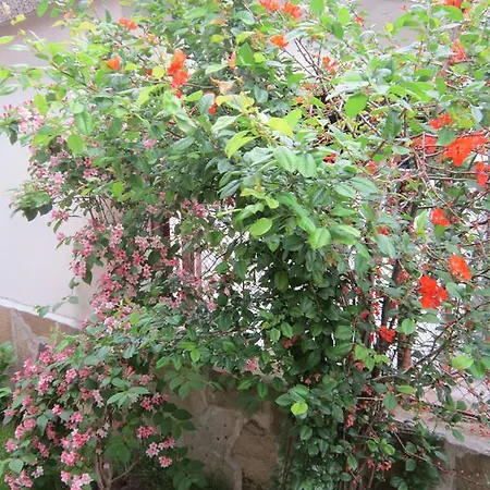 The Beautiful House Guest house