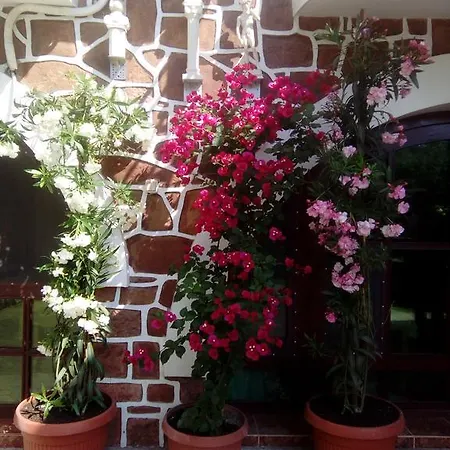 The Beautiful House Casa de hóspedes 2*