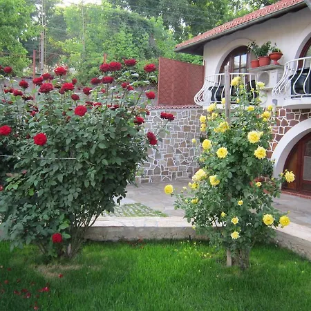 Pensión The Beautiful House 2*
