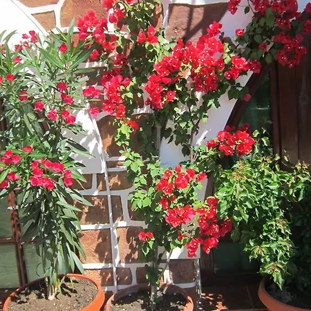 The Beautiful House 2*